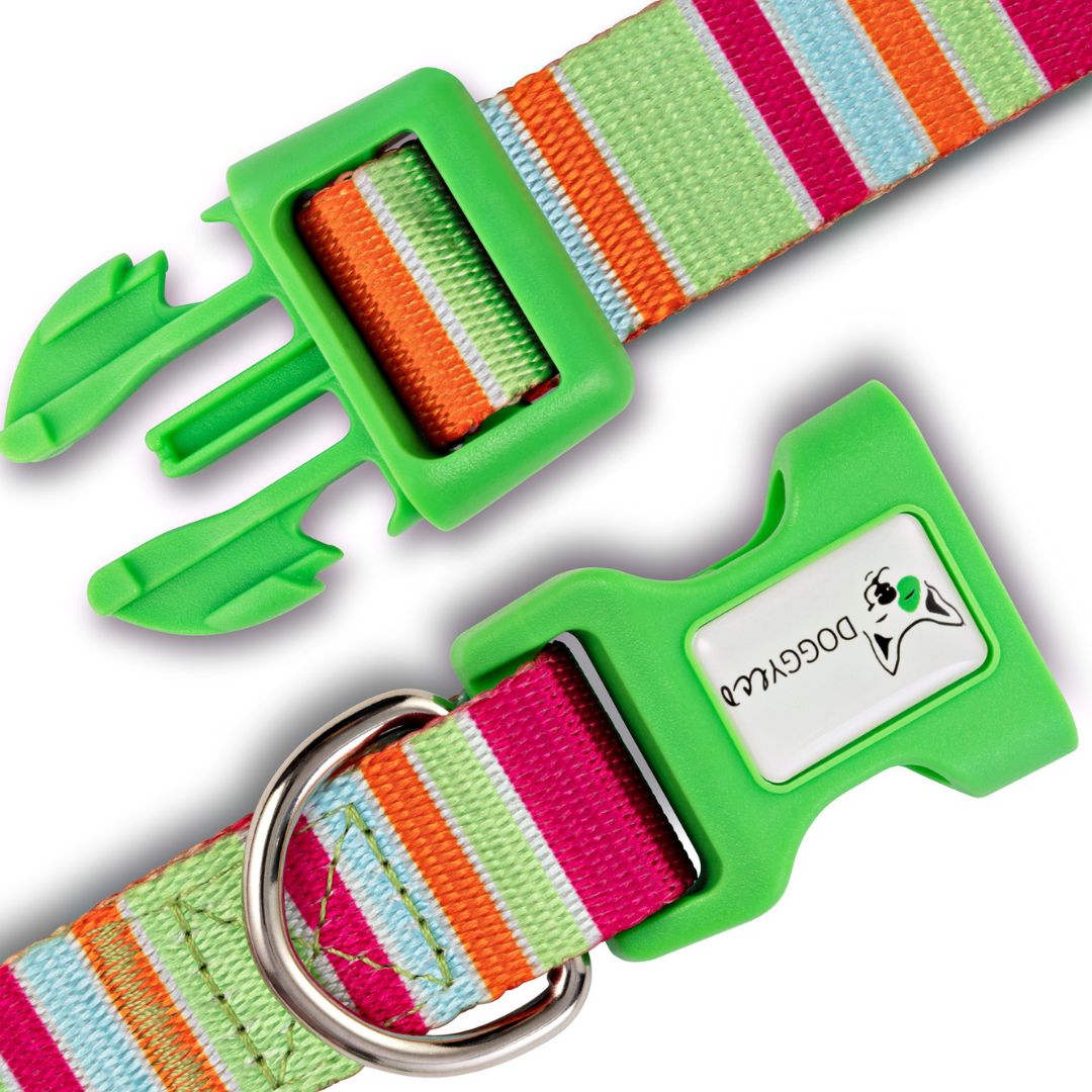 Eco Friendly Dog Collar ”Soda” Made from Recycled Plastic