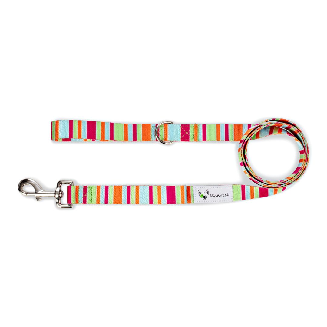 Eco Friendly Dog Leash "Soda" Made from Recycled Plastic