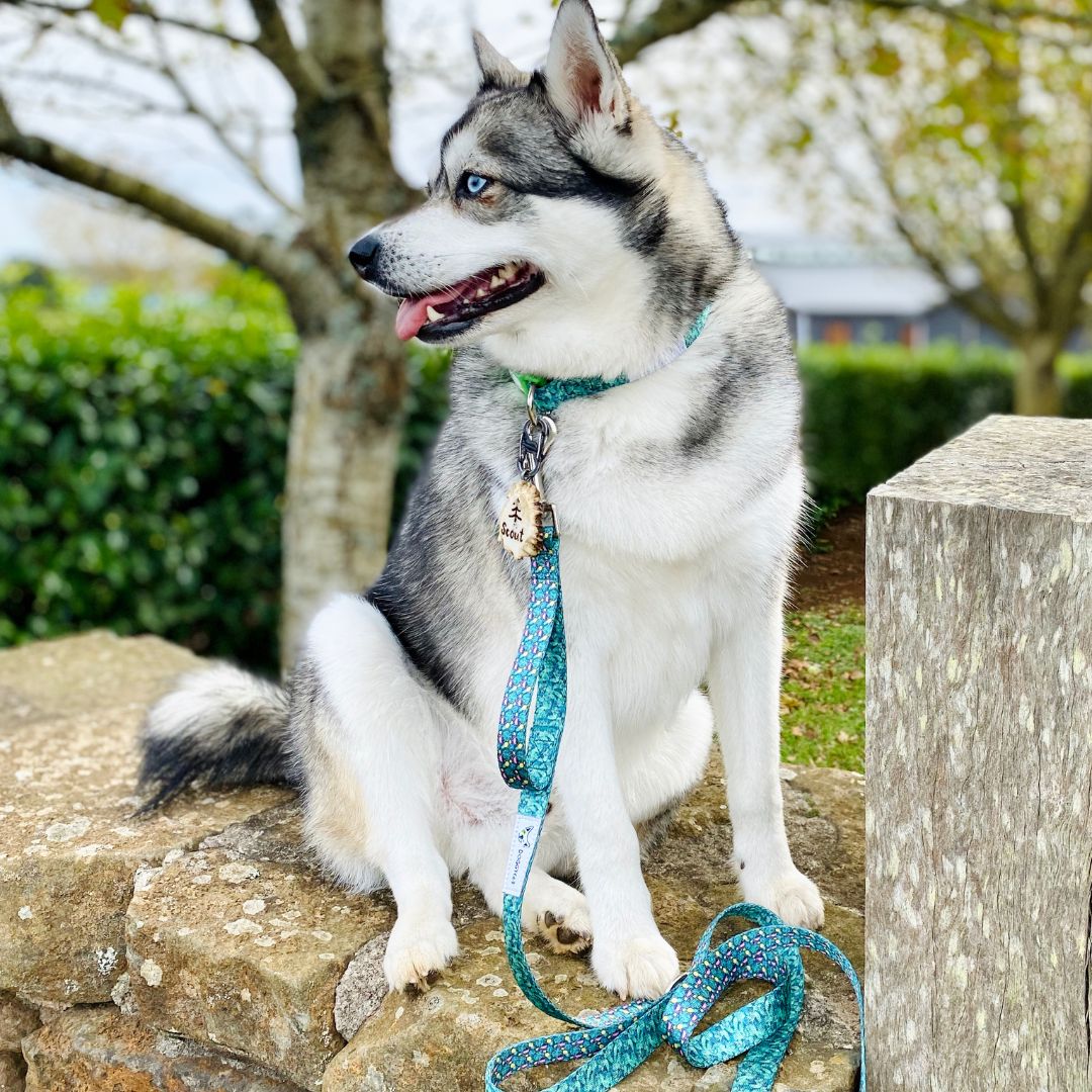 Eco Friendly Dog Leash ”Troppo” Made from Recycled Plastic