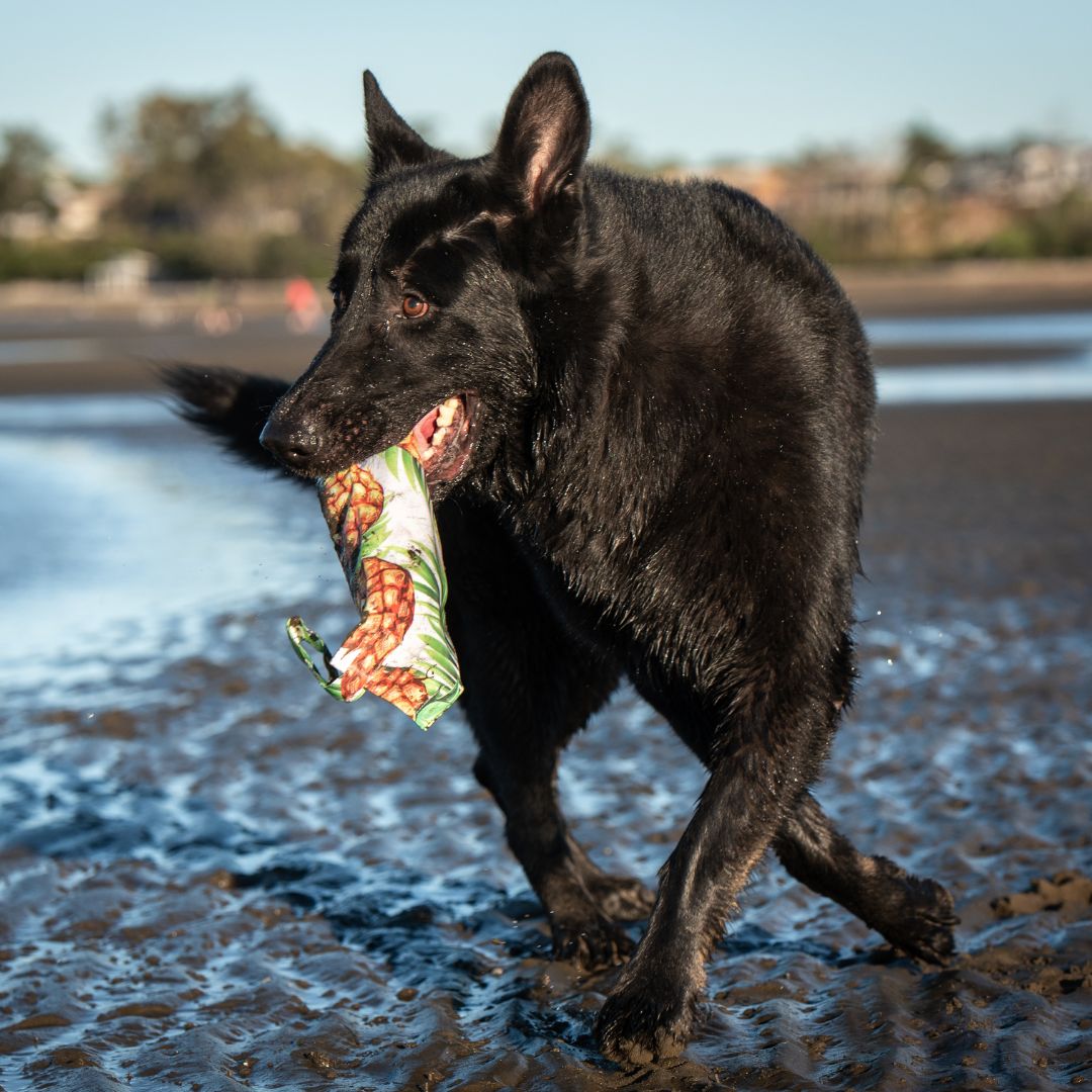 Recycled Plastic Dog Toy Crunch & Cuddle “Pineapple”