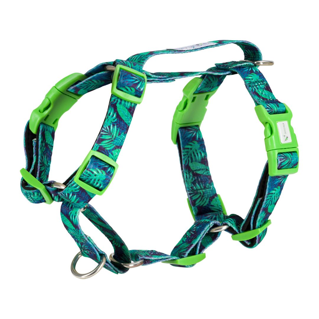 Dog Adventure Bundle With Harness "Troppo"