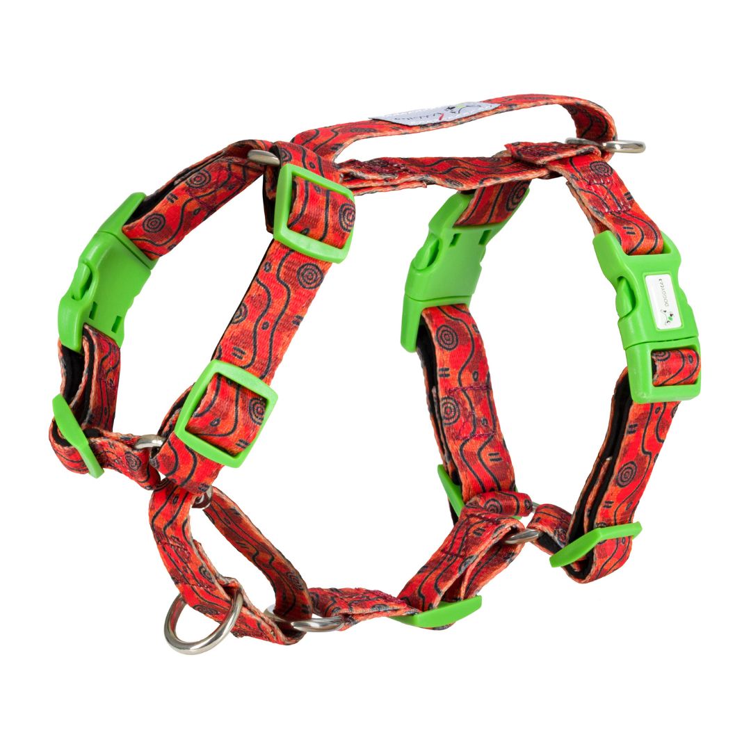 Dog Adventure Bundle With Harness "Outback"