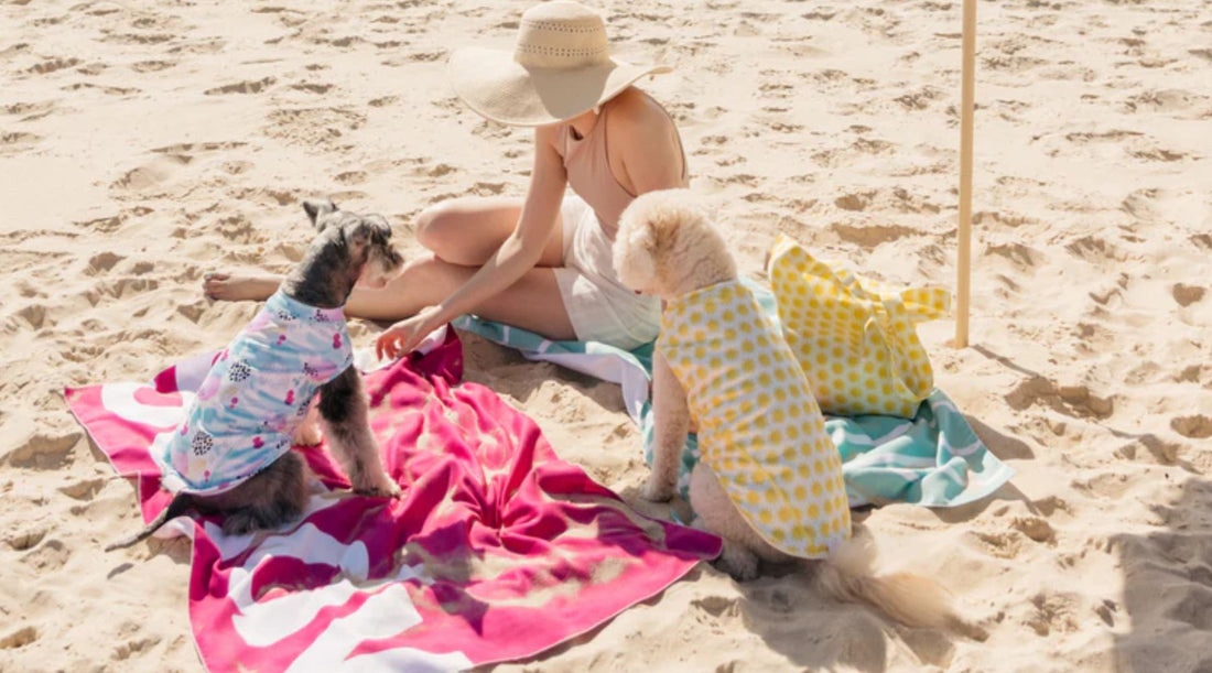 How To Keep Your Dog Cooler At The Beach - A Collaborative Post By Sandy Snoots