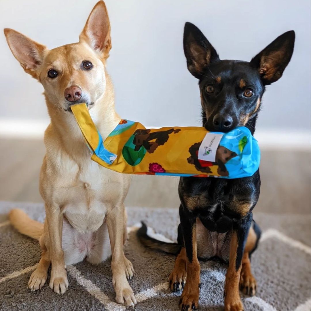 Why Choose Eco-Friendly Dog Toys for Your Furry Friend