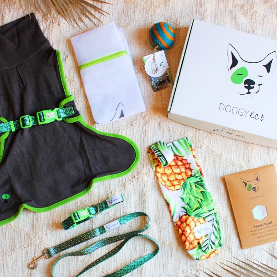 Eco Friendly Gifting