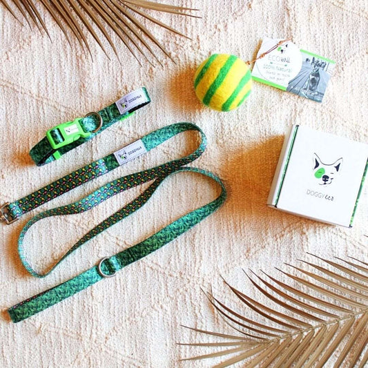 dog walking set eco friendly dog collar and ball