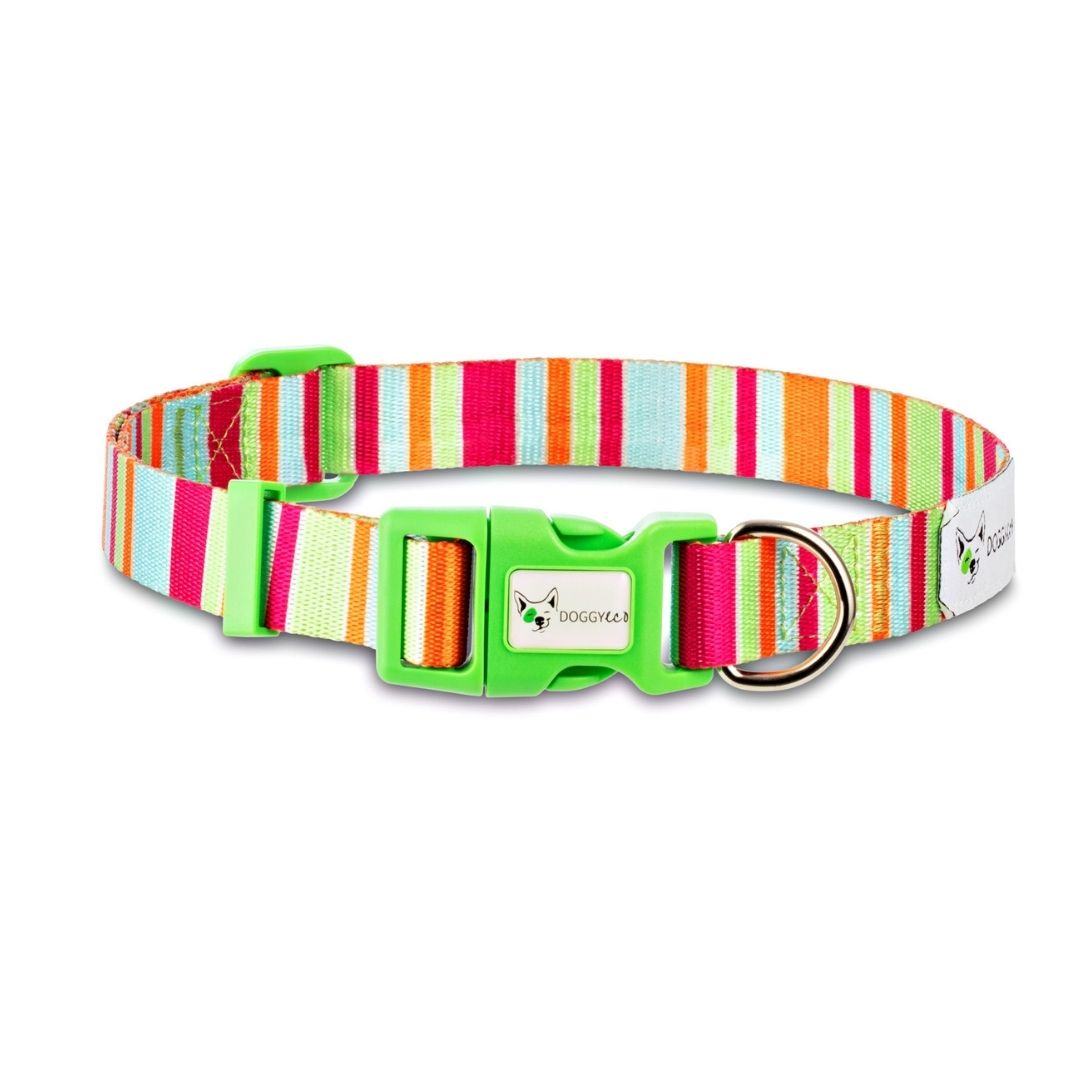 Eco friendly dog collar Soda