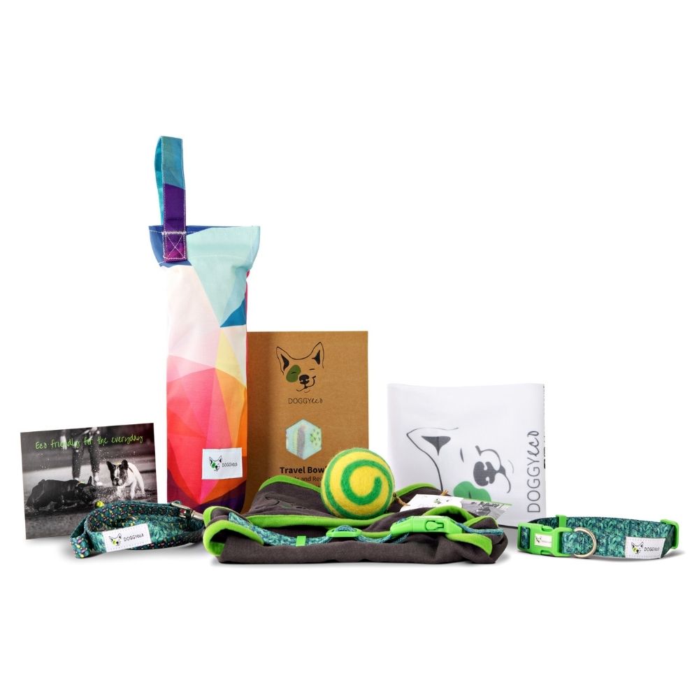 eco friendly dog gift set