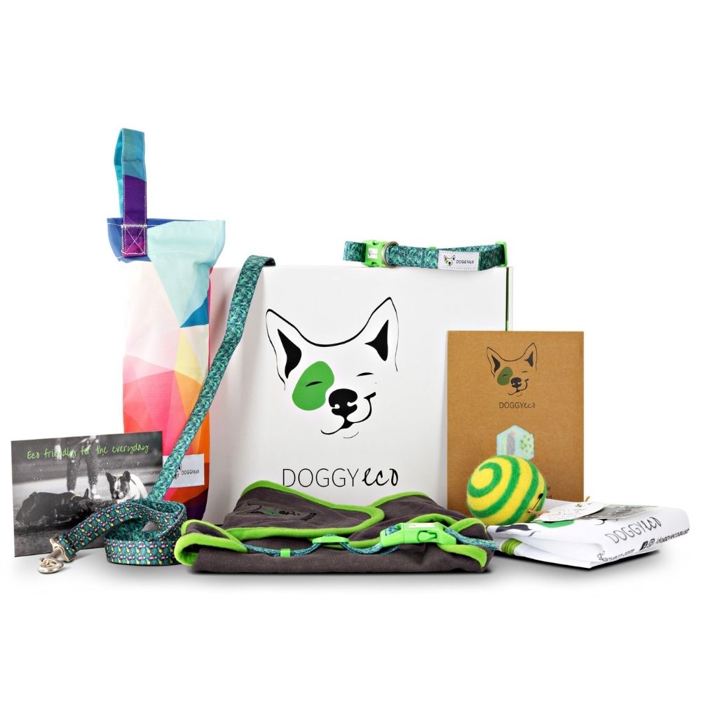 eco friendly dog gift package