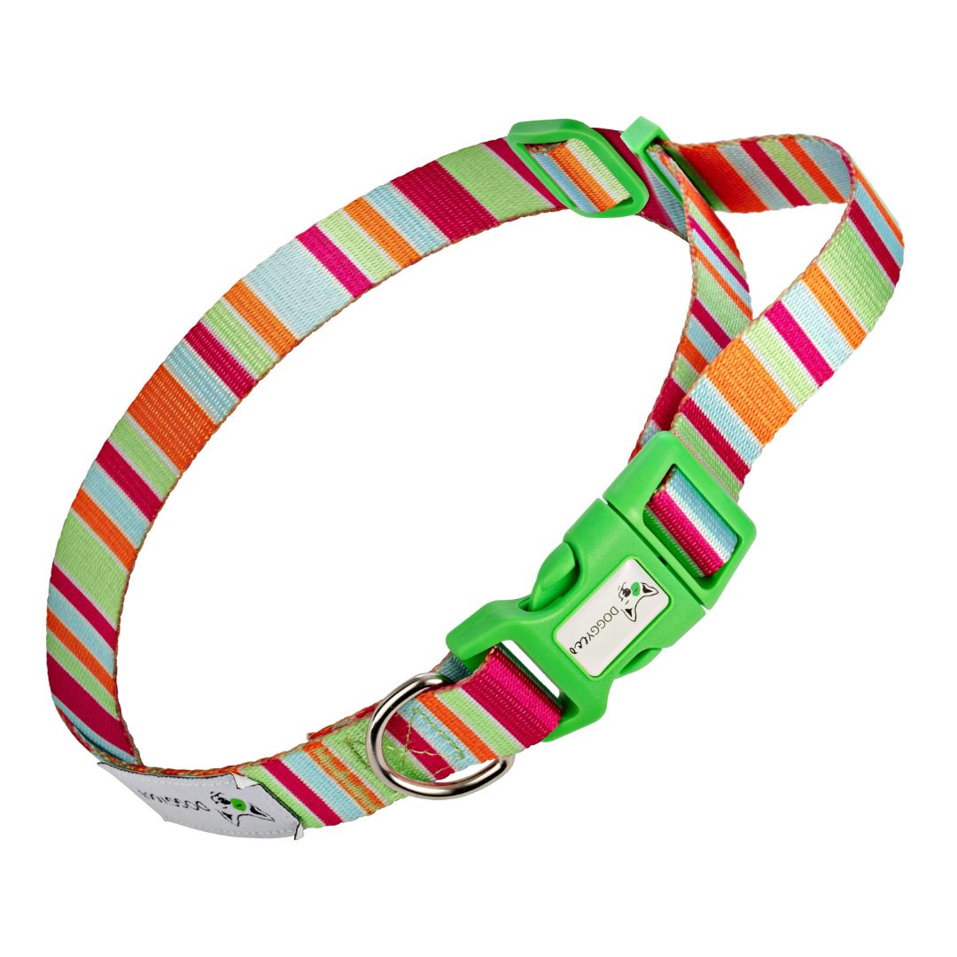 Eco Friendly Dog Collar ”Soda” Made from Recycled Plastic