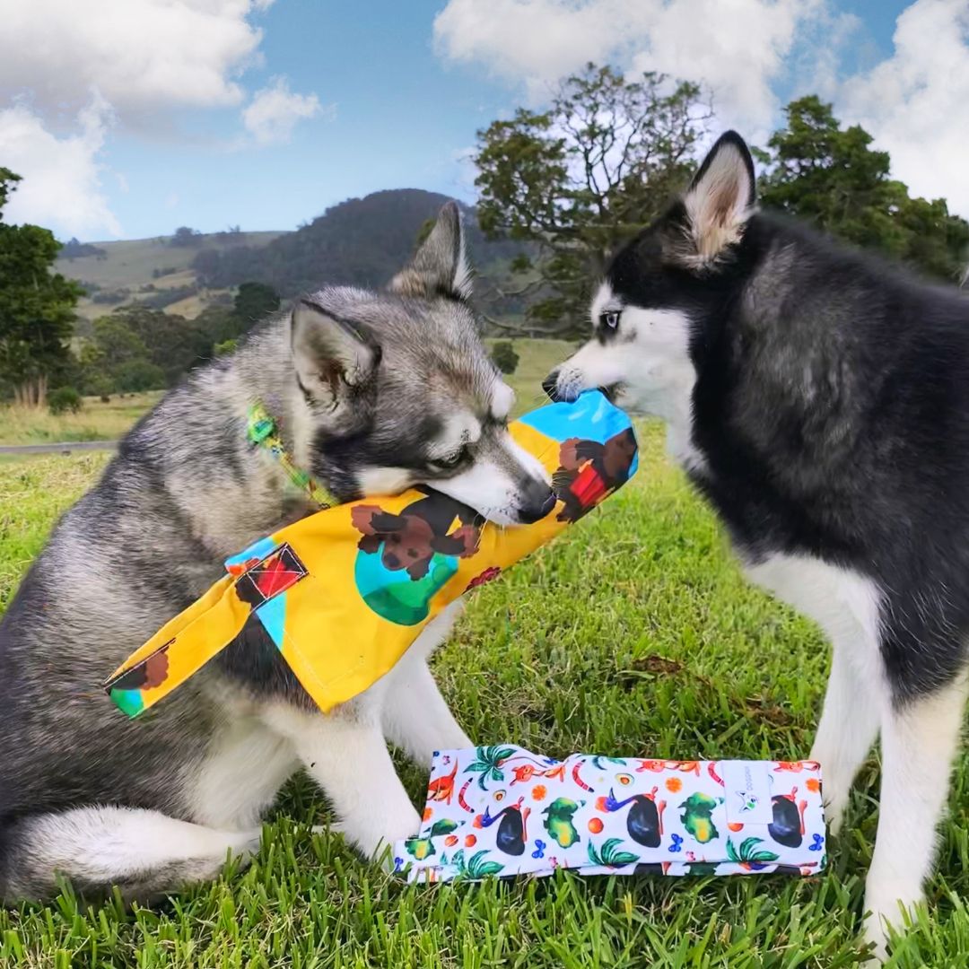 Recycled Plastic Dog Toy Crunch & Cuddle “Beach Fun”