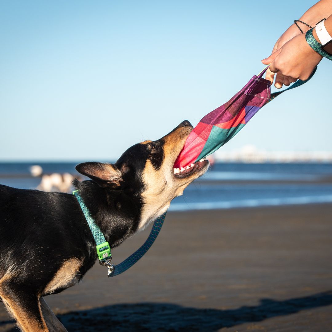 Recycled Plastic Dog Toy Crunch & Cuddle “Geometric”