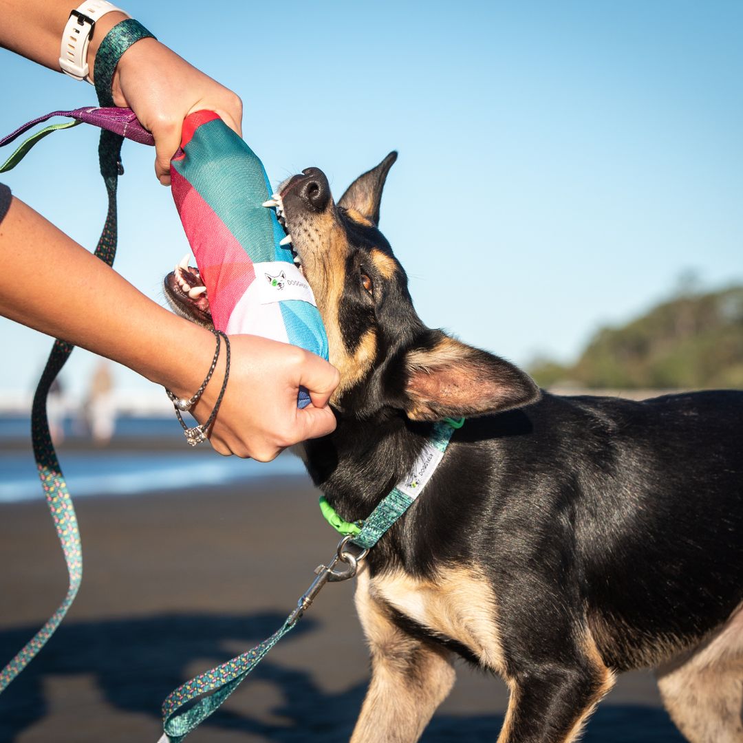 Recycled Plastic Dog Toy Crunch & Cuddle “Geometric”