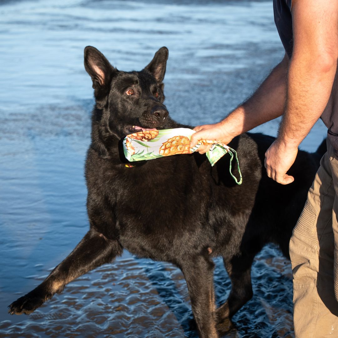 Recycled Plastic Dog Toy Crunch & Cuddle “Pineapple”