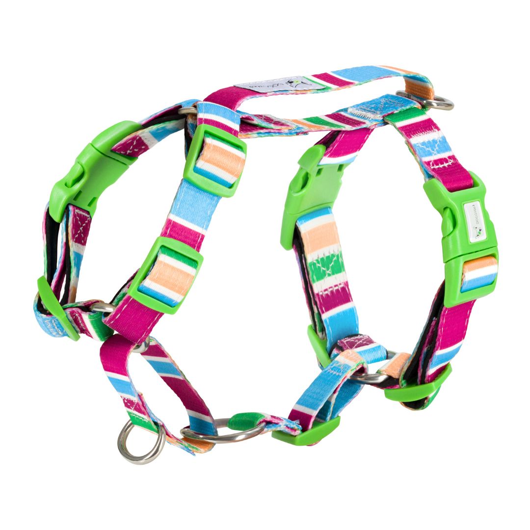 Recycled Dog Adventure Harness "Grampians"