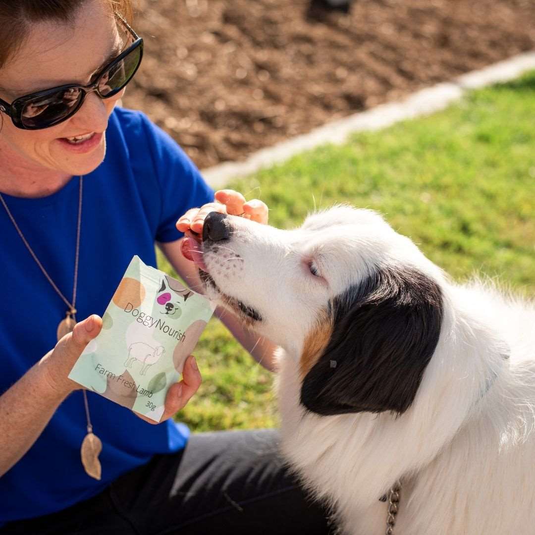 lady feeding dog treat natural dog treat lamb flavour Doggy nourish