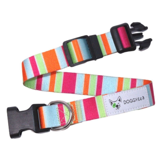 Doggy Eco dog collar bright colours eco friendly